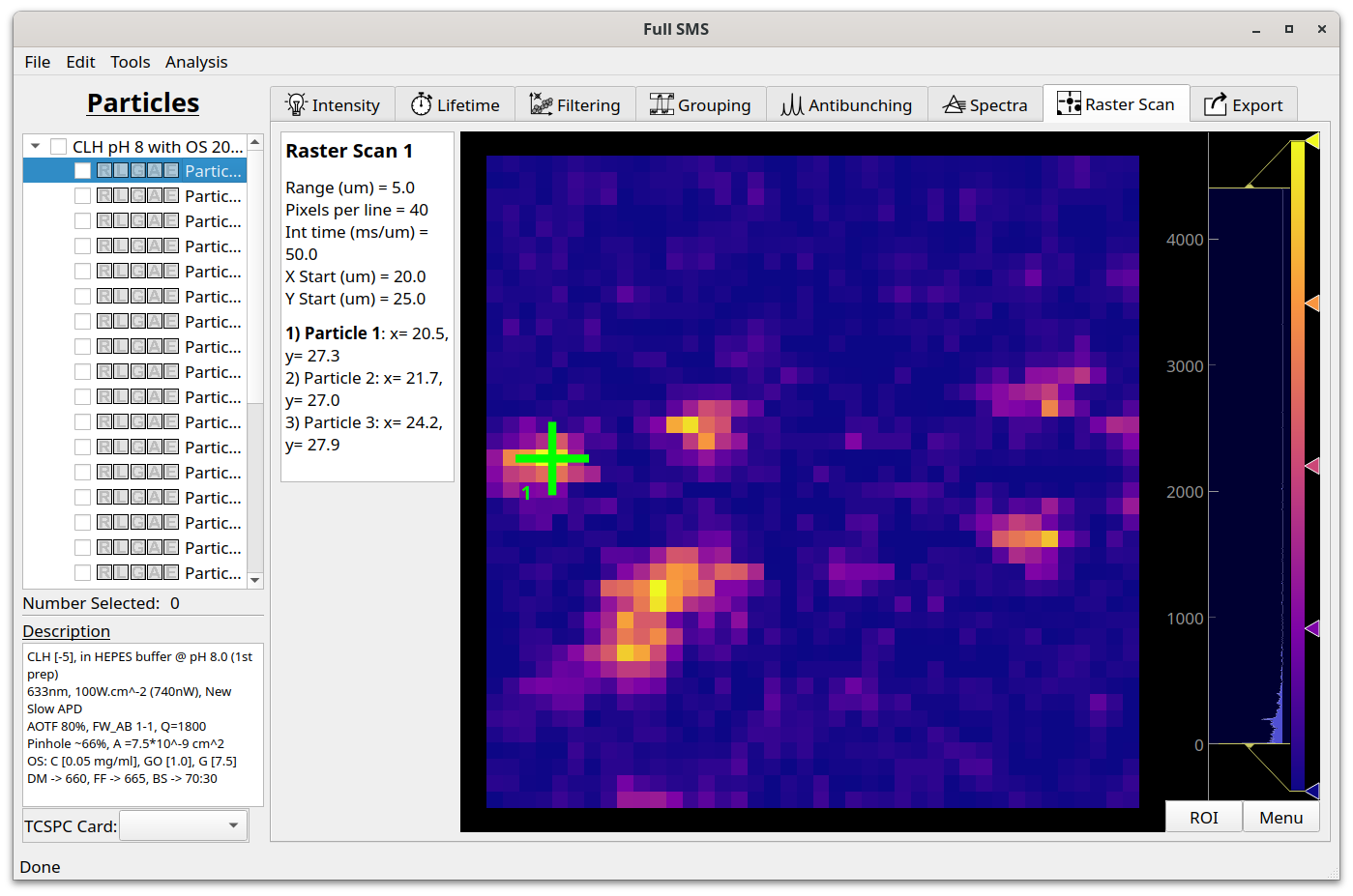Raster Scan tab in the GUI